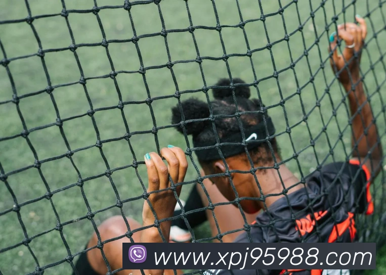 新葡京在线网址服务体系